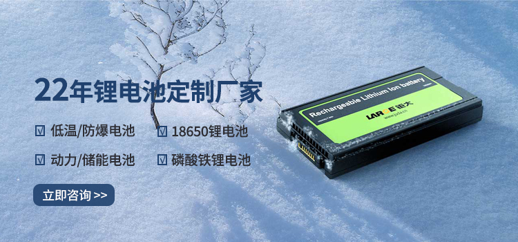21年鋰電池廠(chǎng)家